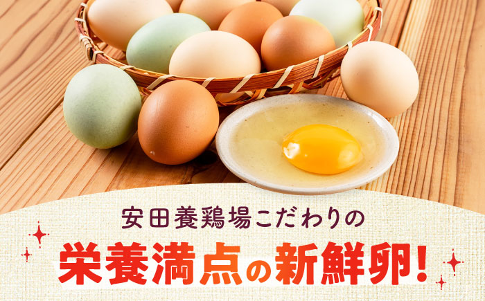 【全6回定期便】安田養鶏場の卵 3種セット しおさい アトムくん タフラン 30個入り（各10個入り） 横須賀市 産地直送 割れ保証付き たまご 黄身 濃厚 卵 玉子 タマゴ 鶏卵  【安田養鶏場】 [AKHN012]