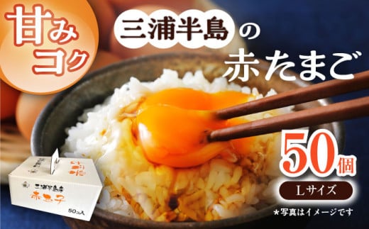 餌にこだわった三浦半島産赤たまご 50個 卵 たまご 【横須賀商工会議所　おもてなしギフト事務局（岩沢ポートリー）】 [AKET005]