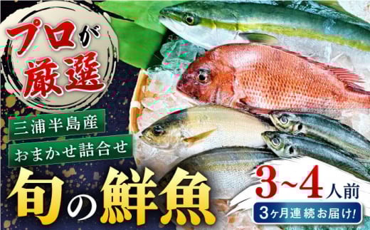 【全3回定期便】旬のおまかせ 厳選鮮魚セット 3～4人前(2～3魚種) 三浦半島産 旬の鮮魚 詰め合わせ セット プロが厳選  横須賀 鮮度抜群 海の幸 生魚 定期 海鮮 魚介 獲れたて【長井水産株式会社】 [AKAJ015]