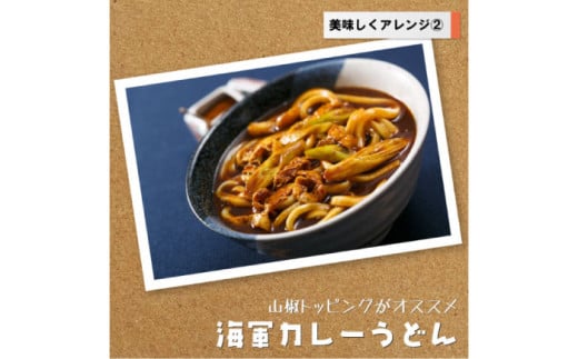 よこすか海軍カレー ネイビーブルーカレーフレーク 125g×53袋 カレー 海上自衛隊カレー 海軍カレー 軍艦 横須賀 自衛隊 神奈川 レトルト 非常食 保存食  【横須賀商工会議所 おもてなしギフト事務局（株式会社調味商事）】 [AKAQ014]