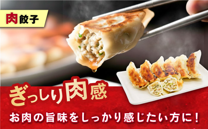 訳あり 本格　肉餃子 100個セット【株式会社オウモリ食品】 [AKHQ006]