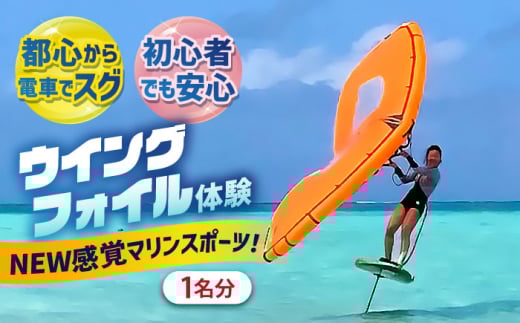 横須賀 津久井浜 Wing Foil (ウイングフォイル) 体験チケット（90分）マリンスポーツ TEARS WINDSURFING SCHOOL ウィンドサーフィン サーフィン リペア 修理 横須賀【ティアーズウインドサーフィンschool】 [AKAN011]