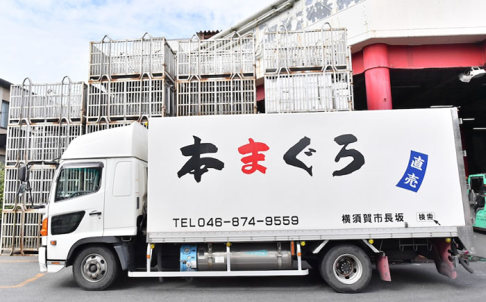 天然 まぐろ ねぎとろ 約500g（約250g×2パック）【横須賀商工会議所 おもてなしギフト事務局（本まぐろ直売所 横須賀本店）】 [AKAK121]