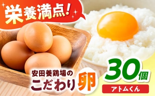 【年内発送の受付は12月18日まで！】安田養鶏場の卵 アトムくん 30個入り 横須賀市 産地直送 割れ保証付き たまご 黄身 濃厚 卵 玉子 タマゴ 鶏卵 年内発送 【安田養鶏場】 [AKHN002]