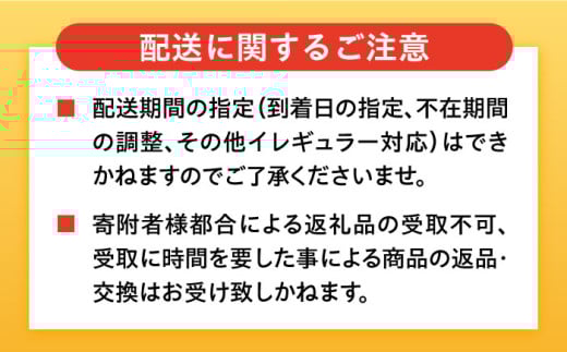 【約5㎏】温州みかん Lサイズ 津久井浜みかん 蜜柑 ミカン 果物 柑橘 フルーツ 横須賀【志村農園】[AKGH003-1]