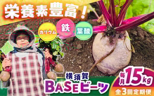 【全3回定期便】横須賀BASEビーツ 15kg（1kg×15袋）【ゆり子ファーム】 [AKCR014]
