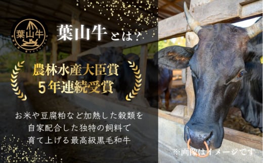 葉山牛コロッケ コロッケ 牛コロッケ 人気 （5個入り×4袋） コロッケ 揚げ物 冷凍 小分け おやつ おかず ころっけ 葉山牛 神奈川県 横須賀市  お弁当 お惣菜 惣菜 【JAよこすか葉山】 [AKFO010]