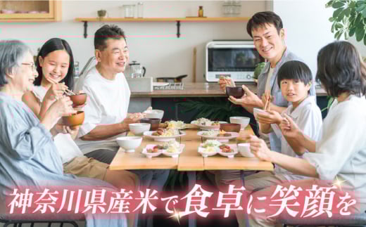 【数量限定100セット】令和7年産 お米 はるみ 5kg 米 お米 こめ おこめ コメ さっぱり 粘り うま味 精米 はるみ 神奈川県 神奈川 特Ａ ランキング  【株式会社ヨコショク】 [AKGC001]