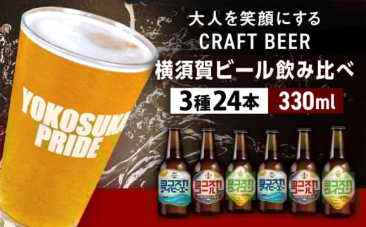 飲み比べ ビール 3種　24本セット （330ml瓶×24本）クラフトビール 【有限会社たのし屋本舗】 [AKAE049]