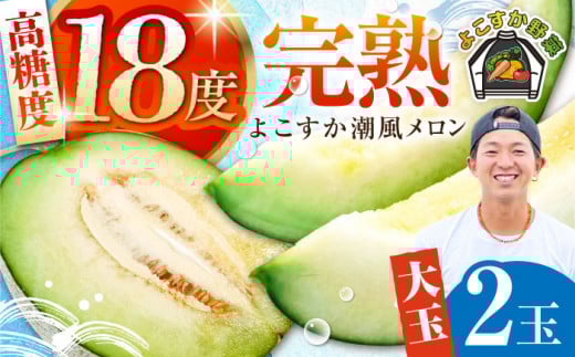 【先行予約】【数量限定50セット】よこすか潮風メロン 大玉 4L 2玉 セット 計約3kg めろん フルーツ 果物 ネットメロン 贈答 希少 産地直送 横須賀【井上農園】 [AKDJ001]