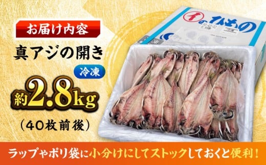 【訳あり】漁師町佐島 真アジの開き 約2.8kg（40枚前後）セット 干物 アジ 鯵 開き 魚 横須賀 冷凍干物 厳選干物 人気干物 干物セット【石川水産】 [AKCX001]