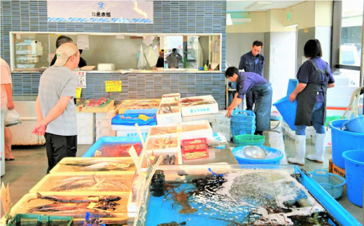 【全3回定期便】旬のおまかせ 厳選鮮魚セット 3～4人前(2～3魚種) 三浦半島産 旬の鮮魚 詰め合わせ セット プロが厳選  横須賀 鮮度抜群 海の幸 生魚 定期 海鮮 魚介 獲れたて【長井水産株式会社】 [AKAJ015]