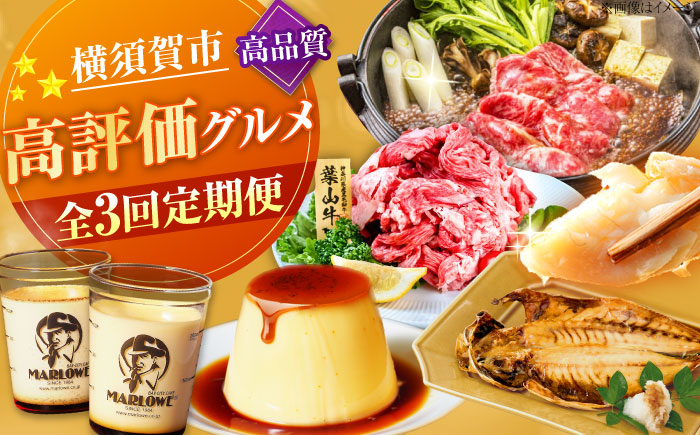 【全3回定期便】横須賀 高評価 定期便 [AKZZ030]