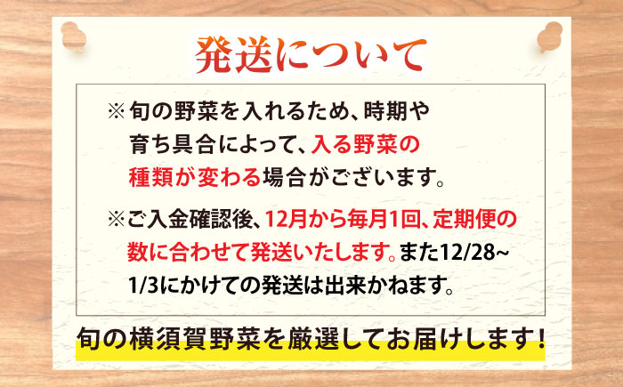 【先行予約】【全2回定期便】冬の汎用野菜セット（5〜6品目）冬（12月〜1月）【鈴也ファーム】 [AKCE027]
