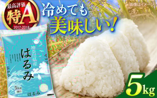 【数量限定30セット】令和6年産 お米 はるみ 5kg 米 お米 こめ おこめ コメ さっぱり 粘り うま味 精米 はるみ 神奈川県 神奈川 特Ａ ランキング  【株式会社ヨコショク】 [AKGC001]