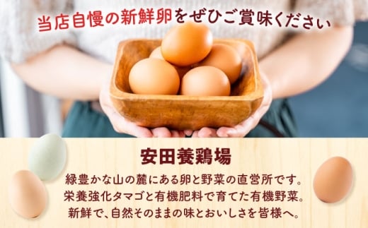 安田養鶏場の卵 しおさい 30個入り 神奈川県産 横須賀市 割れ保証付き たまご 卵 玉子 タマゴ 鶏卵 オムレツ 卵かけご飯 朝食 料理 人気 卵焼き【安田養鶏場】 [AKHN001]