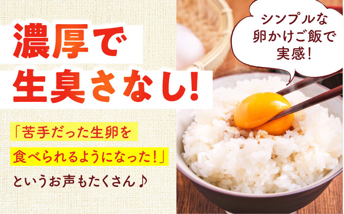 【全3回定期便】安田養鶏場の卵 アトムくん 30個入り 横須賀市 産地直送 割れ保証付き たまご 黄身 濃厚 卵 玉子 タマゴ 鶏卵  【安田養鶏場】 [AKHN009]