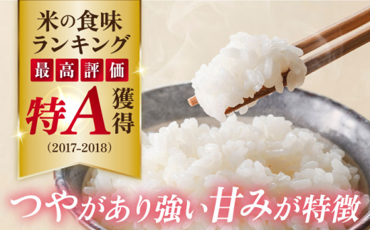 【数量限定100セット】令和7年産 お米 はるみ 10kg 米 お米 こめ おこめ コメ さっぱり 粘り うま味 精米 はるみ 神奈川県 神奈川  10キロ 特Ａ ランキング 【株式会社ヨコショク】 [AKGC002]