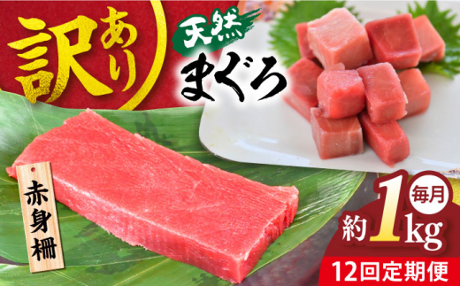 【全12回定期便】【訳あり】天然 まぐろ 赤身（約1kg） わけあり ワケあり 鮪 マグロ 魚 刺身 まぐろ あかみ 横須賀【本まぐろ直売所】 [AKAK058]