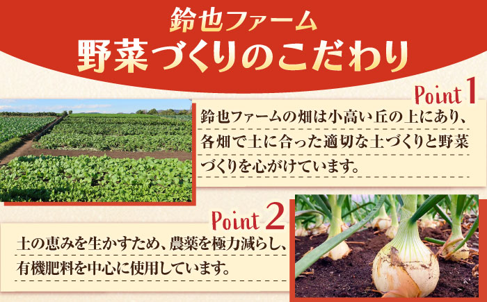 【先行予約】【全2回定期便】冬の汎用野菜セット（5〜6品目）冬（12月〜1月）【鈴也ファーム】 [AKCE027]