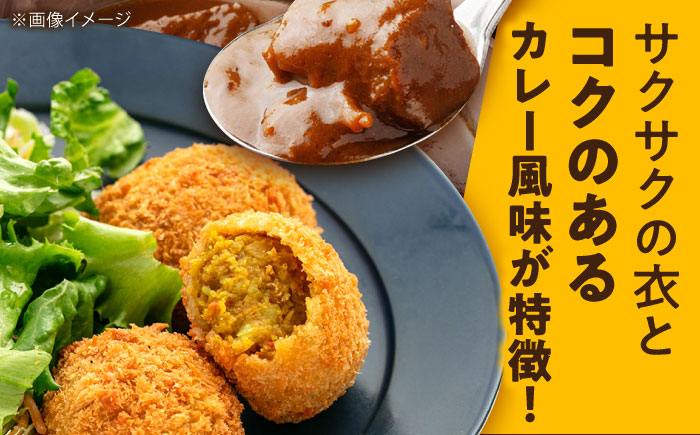よこすか海軍カレーコロッケ 20個 1.8kg 【三富屋商事株式会社】 [AKFJ107]