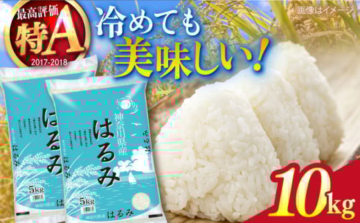 【数量限定25セット】令和6年産 お米 はるみ 10kg 米 お米 こめ おこめ コメ さっぱり 粘り うま味 精米 はるみ 神奈川県 神奈川  10キロ 特Ａ ランキング 【株式会社ヨコショク】 [AKGC002]