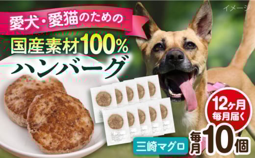 【全12回定期便】ペットフード 三崎マグロ 100%ハンバーグ 10個セット ペット 犬 猫 手作り 国産 てづくり こだわり まぐろ ドッグフード  横須賀 【ペットフードYM japan】 [AKEX005]