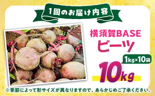 【全12回定期便】横須賀BASEビーツ 10kg（1kg×10袋）【ゆり子ファーム】 [AKCR012]