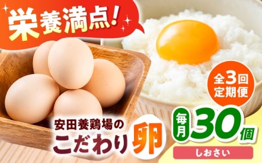 【全3回定期便】【数量限定50セット】安田養鶏場の卵 しおさい 30個入り 横須賀市 産地直送 割れ保証付き たまご 黄身 濃厚 卵 玉子 タマゴ 鶏卵  【安田養鶏場】 [AKHN008]