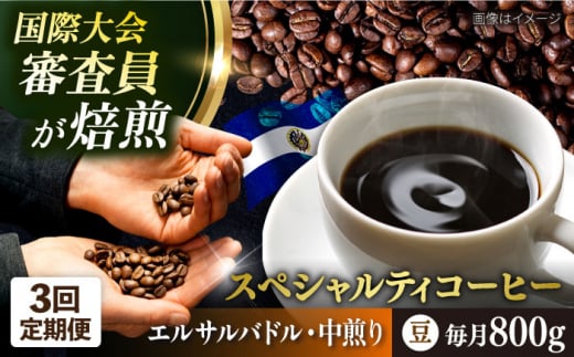 【全3回定期便】コーヒー豆 自家焙煎 中煎り エルサルバドル 200g×4 TSUKIKOYA COFFEE ROASTER ツキコヤ 珈琲 こだわり 横須賀【株式会社RUINS】 [AKAD028]
