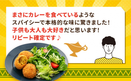 本気のカレーコロッケ20個 0.8kg カレー ころっけ 惣菜 お弁当 パーティ 大人数 揚げ物 横須賀【三富屋商事株式会社】 [AKFJ017]