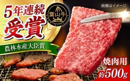 【冷蔵発送でお届け】 葉山牛 焼肉用切り落としセット 約500g 【JAよこすか葉山】 [AKFO011]