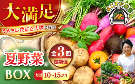 【先行予約】【全3回定期便】すずなり採れたて野菜BOX　(10～15品)　夏（5月～7月） 野菜  やさい 詰め合わせ 詰合せ 【鈴也ファーム】 [AKCE005]