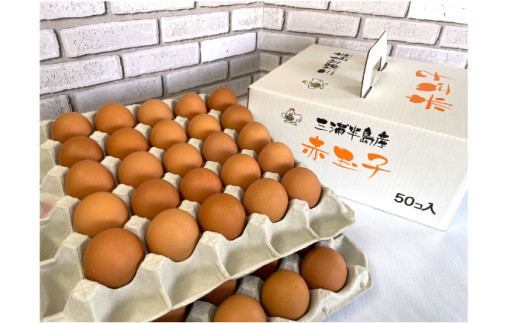 餌にこだわった三浦半島産赤たまご 50個 卵 たまご 【横須賀商工会議所　おもてなしギフト事務局（岩沢ポートリー）】 [AKET005]