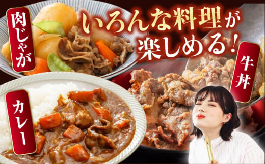 葉山牛 切り落とし300g×2パック 計600g 小分け 牛肉 切り落とし 和牛 きりおとし 横須賀 冷凍  【株式会社羽根】 [AKAG001]