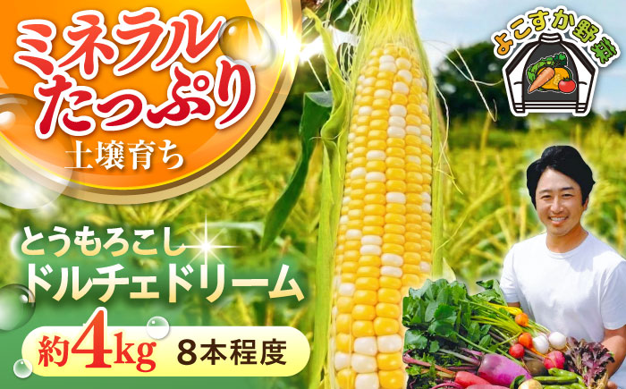 【先行予約】【数量限定100セット】とうもろこし　ドルチェドリーム　下処理済み　8本程度　約4kg（7月〜8月）【鈴也ファーム】 [AKCE026]