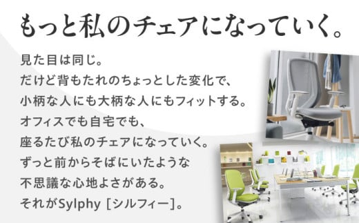 【業界最大手】【ミディアムグレー】オフィスチェア オカムラ（シルフィー ヘッドレスト付き） オフィス チェアヘッドレスト 事務 家具 テレワーク リクライニング リモートワーク 在宅ワーク テレワーク 姿勢 国産 高級  腰痛 ブランド 横須賀 【株式会社オカムラ】 [AKAA002-7]