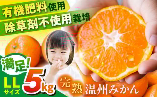 温州みかん LLサイズ 約5kg 津久井浜みかん 蜜柑 ミカン 果物 柑橘 フルーツ 横須賀【志村農園】 [AKGH004]