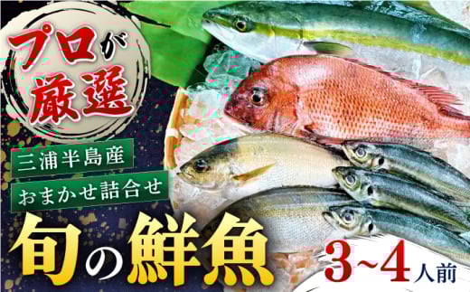 魚 旬のおまかせ 鮮魚 厳選詰め合わせセット 3～4人前(2～３魚種) 季節 水産 旬 お魚 魚料理【長井水産株式会社】 [AKAJ002]