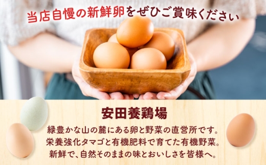 【全3回定期便】安田養鶏場の卵 アトムくん 30個入り 横須賀市 産地直送 割れ保証付き たまご 黄身 濃厚 卵 玉子 タマゴ 鶏卵  【安田養鶏場】 [AKHN009]