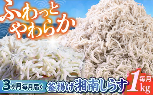 【全3回定期便】釜揚げ 湘南しらす 1kg / しらす 湘南 ふわふわ 食感 冷凍 国産 シラス お取り寄せ 人気 大容量 佐島 横須賀 かながわブランド 神奈川県【平敏丸】 [AKEZ011]