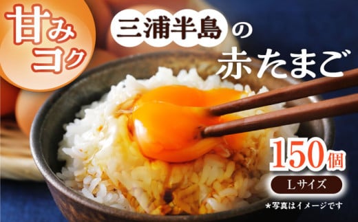 餌にこだわった三浦半島産赤たまご Lサイズ10kg（約150個） 卵 たまご 【横須賀商工会議所　おもてなしギフト事務局（岩沢ポートリー）】 [AKET006]