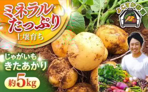 【先行予約】【数量限定30セット】じゃがいも　きたあかり　約5kg 野菜  やさい 【鈴也ファーム】 [AKCE020]