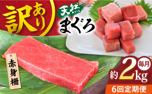 【全6回定期便】【訳あり】天然 まぐろ 赤身（約2kg） わけあり ワケあり 鮪 マグロ 魚 刺身 まぐろ あかみ 横須賀【本まぐろ直売所】 [AKAK060]