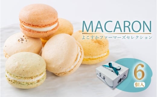 マカロン6個セット　よこすかfarmersSelection マカロン　お菓子　スイーツ 野菜　【マカルース】 [AKGS001]