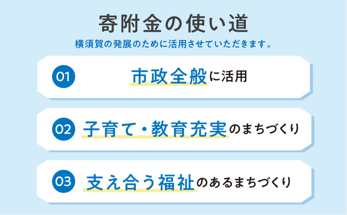 【応援寄附金】神奈川県横須賀市 返礼品なしのご寄附（1,000,000円）【横須賀市】 [AKZZ038]