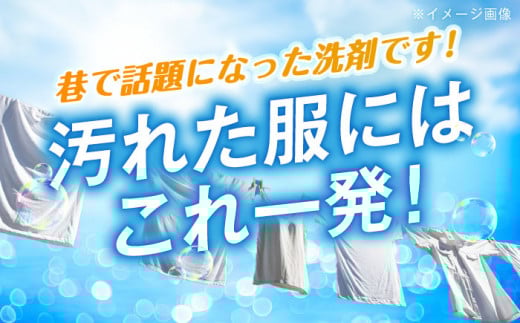 【数量限定50セット】 ブルースティック 詰め合わせセット 洗濯 洗剤 石鹸 せっけん 石けん 【公益財団法人矯正協会（横須賀市）】 [AKDT001]
