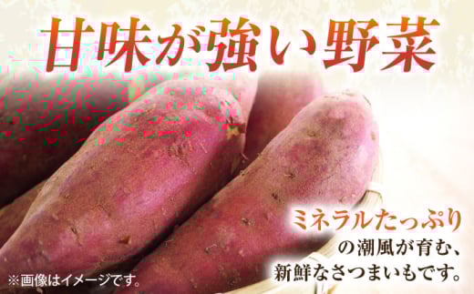 【先行予約】さつまいも 紅はるか 約3kg 野菜  やさい 【鈴也ファーム】 [AKCE024]