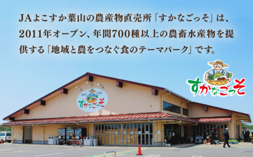 【冷蔵発送でお届け】 葉山牛 焼肉用切り落としセット 約1kg 【JAよこすか葉山】 [AKFO012]