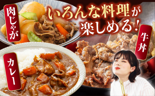 葉山牛 切り落とし300g×4パック 計1.2kg 小分け 牛肉 切り落とし 横須賀 冷凍 【株式会社羽根】 [AKAG003]